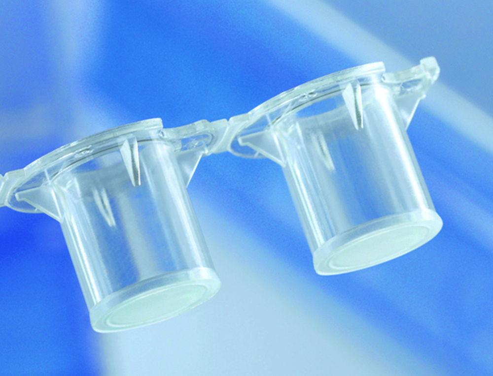 BRAND Insert Strips of 4 BRANDplates PS, CellGrade Plus Surface, Even Walls, Sterile, PC Membrane, 3.0µm, Pack of 12