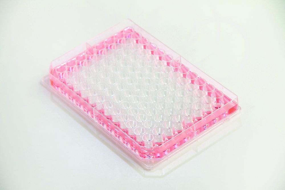 Thermo Nunc Microplates Nunc Edge 2.0 96-Well, Flat Bottom, Clear, Sterile, without Lid, Non-Treated, Bulk Pack of 10x16