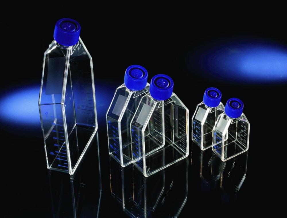 Thermo Nunc EasYFlask, PS, 25 mL, 75 cm², Nunclon Delta, Vent/Close Caps, Sterile (Pack of 100)