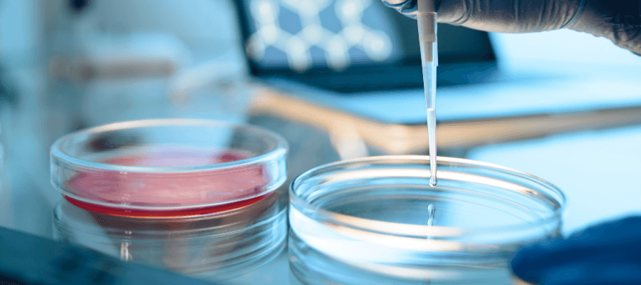 Petri Dish Guide: Uses, Types & How to Choose the Right One