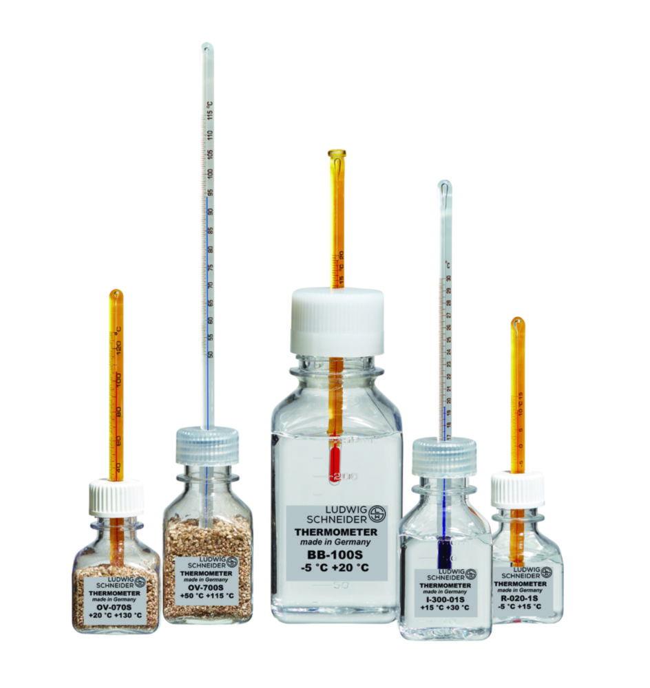 Ludwig Schneider Bottle Thermo Scientificmeter F-100-01S, -25...-5:0.1°C with Blue Filling, Length 210mm, for Freezers, including DAkkS-Calibration with 2 Testpoints