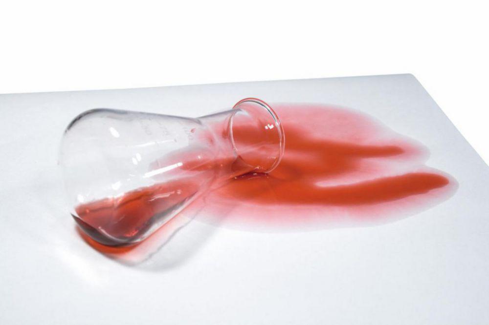 Macherey-Nagel Adsorbent Paper Sheets MN 210 PE 48x60 cm Pack of 50 Sheets

