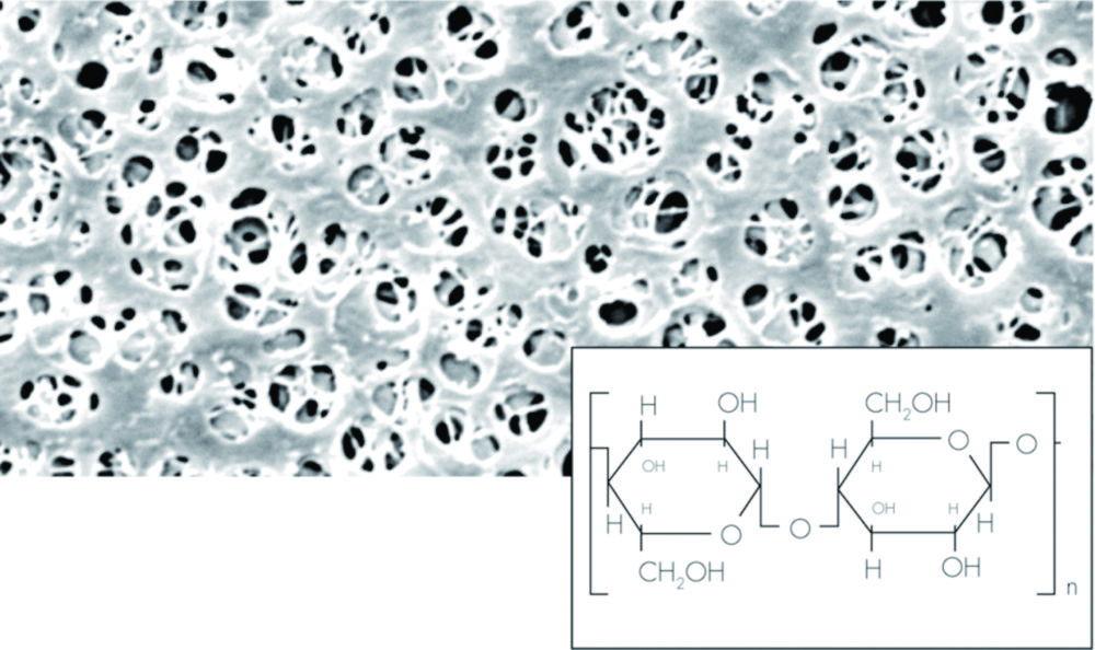 Membrane filter 293 mm, 0.2 µm Cellulose, pack of 25