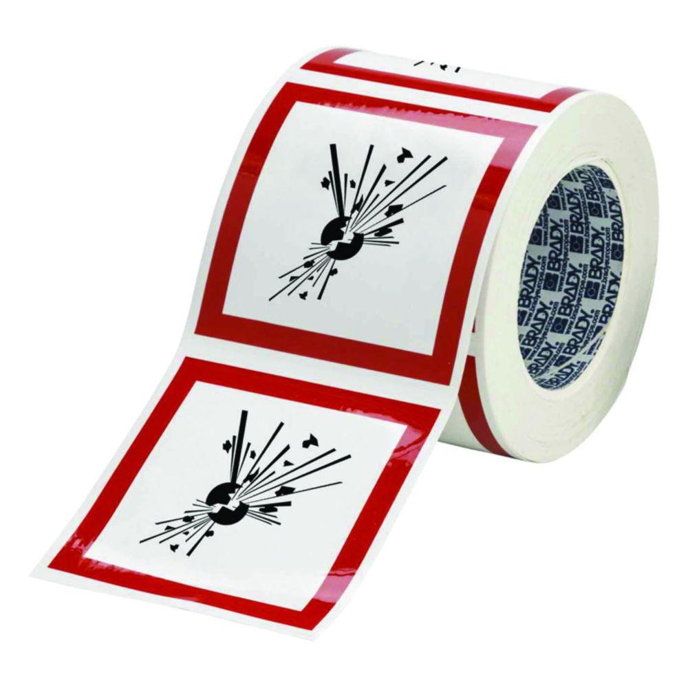 Brady GHS Symbol "Oxidizing" PIC 1803-100*100-B7541-RLL 100x100 mm, Roll, Pack of 250

