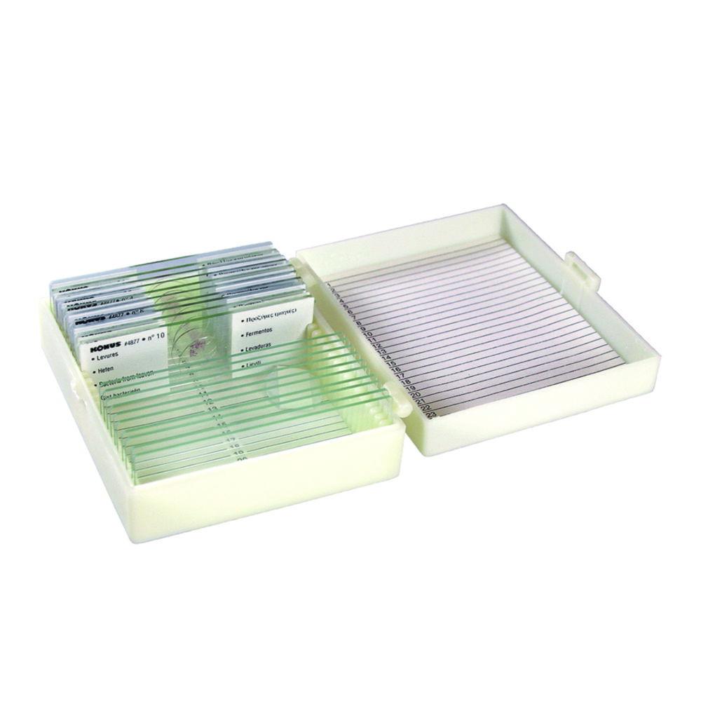 Konus Italia Group Set of 10 Slides – Human Tissues (1st Series)