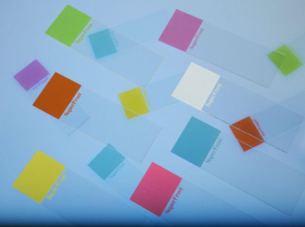 Epredia Microscope Slides 76x26 mm, 1.0 mm Thickness, Ground Edges, Pink (Pack of 50)